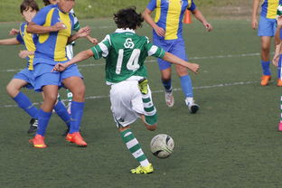 详细阅读:开云网站-上海申花再遭柔佛新山逆转,1-3失利痛失连胜机会 开云网站-上海申花再遭柔佛新山逆转,1-3失利痛失连胜机会